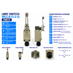 Limit Switch WLCA12-2-Q me Levë dhe Rrotë | Smarttronik Kosovë