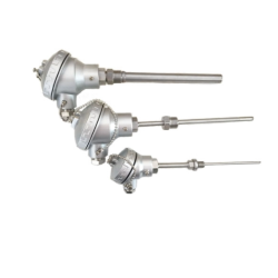 Sensor temperature 300 mm G1/2 PT100 Explosion-Proof – Industrial