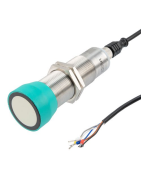 Ultrasonic
